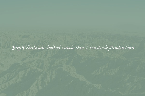 Buy Wholesale belted cattle For Livestock Production