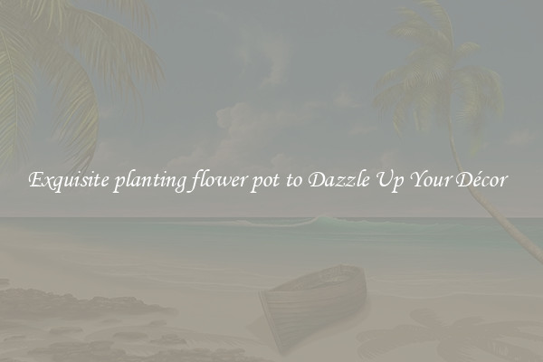 Exquisite planting flower pot to Dazzle Up Your Décor  
