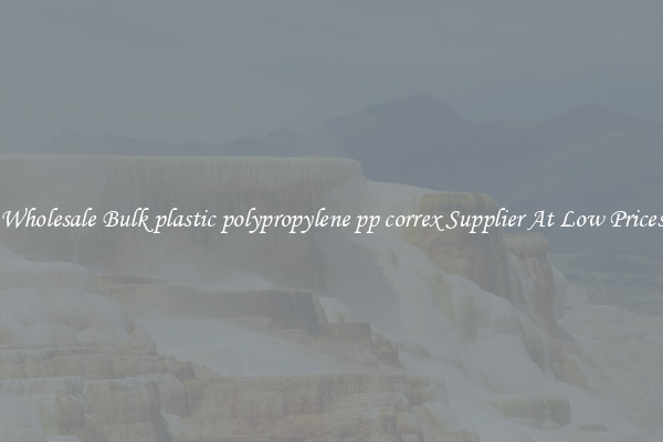 Wholesale Bulk plastic polypropylene pp correx Supplier At Low Prices