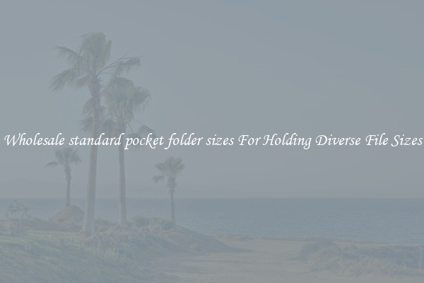 Wholesale standard pocket folder sizes For Holding Diverse File Sizes