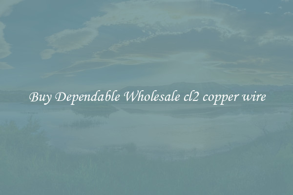 Buy Dependable Wholesale cl2 copper wire
