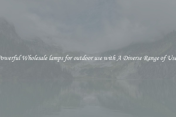 Powerful Wholesale lamps for outdoor use with A Diverse Range of Uses