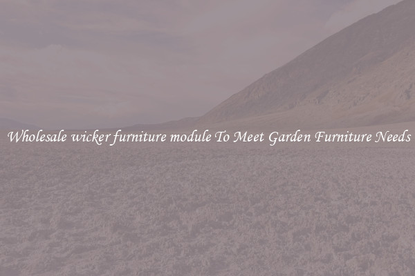 Wholesale wicker furniture module To Meet Garden Furniture Needs