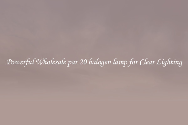 Powerful Wholesale par 20 halogen lamp for Clear Lighting