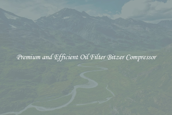 Premium and Efficient Oil Filter Bitzer Compressor