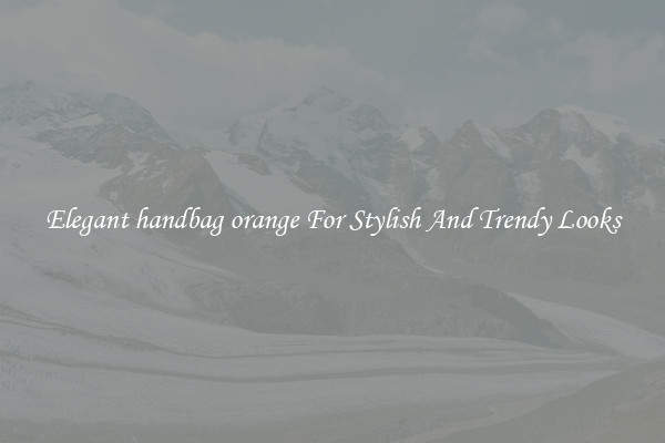 Elegant handbag orange For Stylish And Trendy Looks