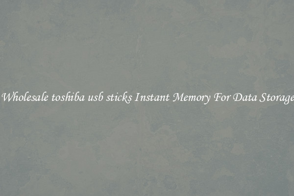 Wholesale toshiba usb sticks Instant Memory For Data Storage