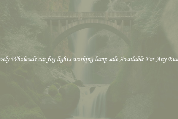 Lovely Wholesale car fog lights working lamp sale Available For Any Budget