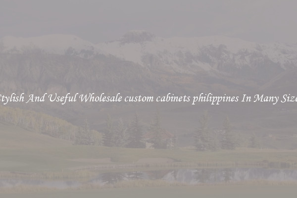 Stylish And Useful Wholesale custom cabinets philippines In Many Sizes