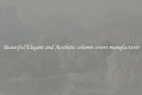 Beautiful Elegant and Aesthetic column covers manufacturer