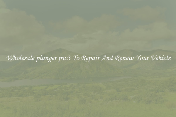 Wholesale plunger pw3 To Repair And Renew Your Vehicle