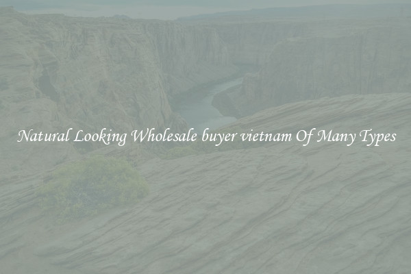Natural Looking Wholesale buyer vietnam Of Many Types