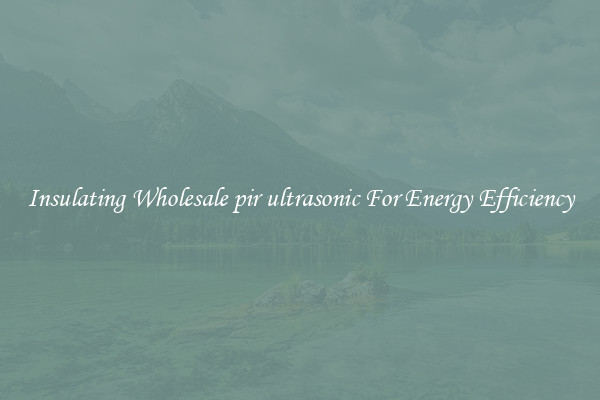 Insulating Wholesale pir ultrasonic For Energy Efficiency