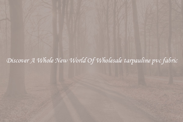 Discover A Whole New World Of Wholesale tarpauline pvc fabric