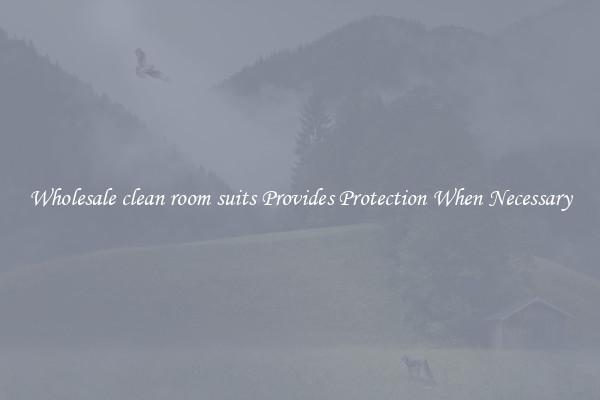Wholesale clean room suits Provides Protection When Necessary