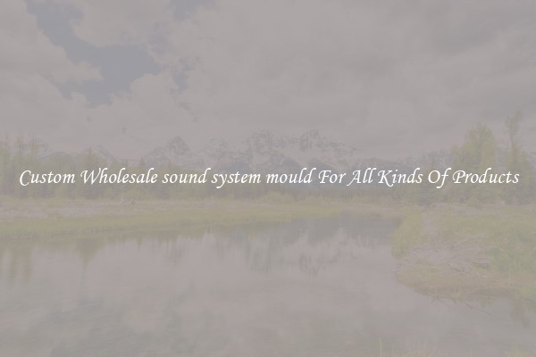 Custom Wholesale sound system mould For All Kinds Of Products