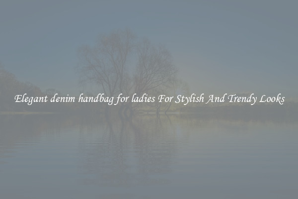 Elegant denim handbag for ladies For Stylish And Trendy Looks